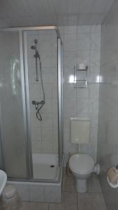 uma casa de banho com um chuveiro, um WC e um lavatório. em Ferienhof Zum Kammergut- Ferienhaus- Ferienwohnung em Zeulenroda