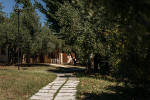 Φυσικό τοπίο κοντά σε αυτή η παραθεριστική κατοικία +25 φωτογραφίες