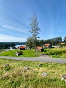 a road with houses and a tree on a field at Bolkesjø Gaard in Notodden