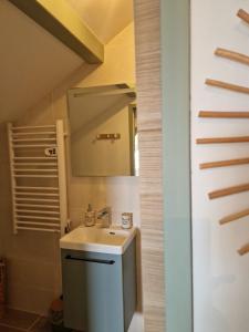 uma casa de banho com um lavatório e um espelho em Entre Alpes et Léman em Publier