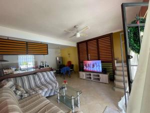 a living room with a couch and a television at Cozy duplex for perfect getaway in Grand Gaube