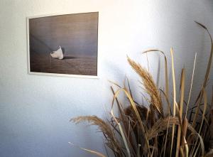 Fotografia z galérie ubytovania Villa Marina v destinácii Zagvozd