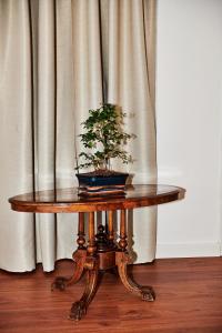 a table with a potted plant on it in front of a curtain at Vatican luxury - private parking free - meospiti luxury in Rome