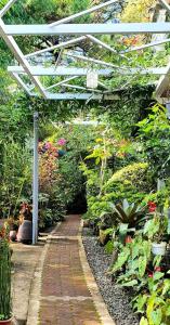 un jardín con pérgola y pasarela en JCGA Apartments (Angelo's Burnham) en Baguio