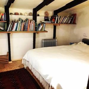 1 dormitorio con cama y estanterías de libros en להלהלנד- יחידת אירוח במדבר, en Sappir
