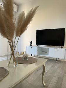 - un salon avec une télévision et une table dans l'établissement Apartment Ana, à Imotski