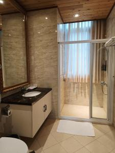 仁愛郷にあるArts Castleのバスルーム(シャワー、洗面台、ガラス張りのシャワー付)