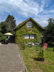 a house covered in green ivy with two red chairs at Gästehaus Silbersbach in Seibersbach