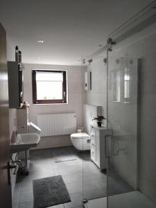 a bathroom with a shower and a sink and a toilet at Gästehaus Silbersbach in Seibersbach