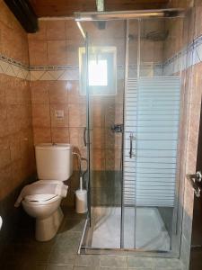 a bathroom with a toilet and a glass shower at Blue Bay Beach Hotel in Kinira