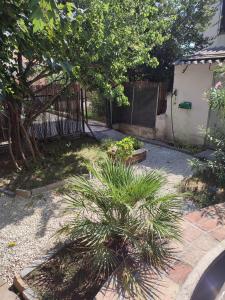 un jardin avec un palmier et une clôture dans l'établissement Le bon séjour, à Marseille