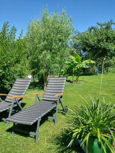 twee stoelen en een picknicktafel in het gras bij Ferienhaus Keller in Lippertsreute