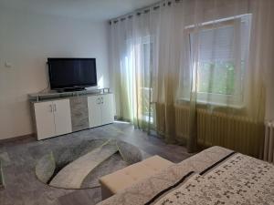 TV a/nebo společenská místnost v ubytování Forsthaus an der Cloef
