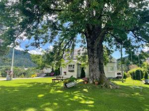 un parque con un árbol y un banco bajo él en Nakkentunet - familievennlig hus på gårdstun., en Ørskog