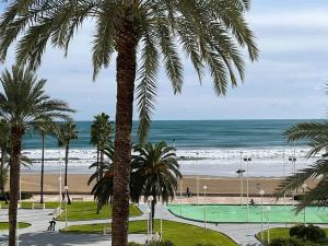 Blick auf einen Strand mit Palmen und das Meer in der Unterkunft apartamento al mar cullera florazar in Cullera