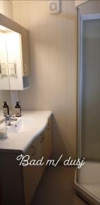 een badkamer met een wastafel, een spiegel en een douche bij Søberget in Stange