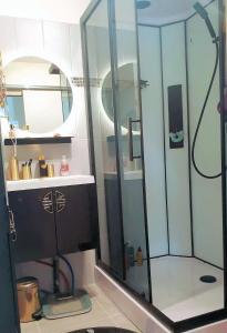 a bathroom with a shower and a sink at chambre sur Muret in Muret