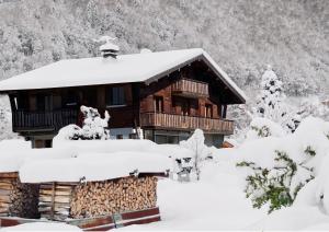 冬天的The Fat Fox Lodge, Morzine