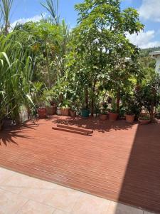 patio z mnóstwem roślin i drzew w obiekcie Chez Vava et Maïanne w mieście Bouillante
