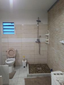 mała łazienka z toaletą i prysznicem w obiekcie Chez Vava et Maïanne w mieście Bouillante