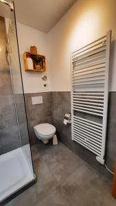 a bathroom with a toilet and a shower at Fewo Am Deich 1 Appartment 30 in Sankt Peter-Ording