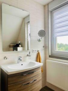een badkamer met een wastafel, een spiegel en een raam bij Pool, Sauna und Blick ins Grüne in Lutherstadt Wittenberg