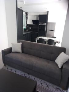 ein Wohnzimmer mit einem Sofa und einem Tisch in der Unterkunft appartement T2 neuf et design in Pérignat-lès-Sarliève