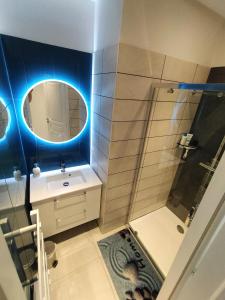 a bathroom with a shower and a sink and a mirror at Maison pour 4/ 6 personnes les hirondelles in Saint-Vivien-de-Monségur