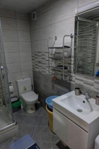 a bathroom with a sink and a toilet at Cosy apartment in Kumanovo in Kumanovo