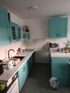 a kitchen with turquoise cabinets and a sink at Apartma pri Renati in Celje