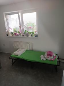 a green bed in a room with a window at Apartma pri Renati in Celje