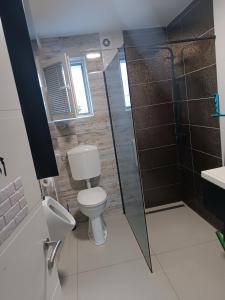 uma casa de banho com um WC e uma cabina de duche em vidro. em Apartma pri Renati em Celje