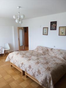 1 dormitorio con 1 cama grande en una habitación en Ciche Ranczo, en Łuków