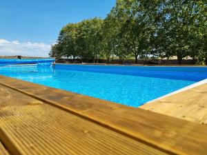 une grande piscine avec de l'eau bleue et des arbres dans l'établissement Le verger des noyer Relaxing getaway with private pool, à Mairé-lʼEvescault