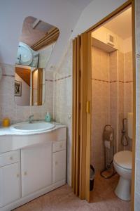 a bathroom with a sink and a toilet and a mirror at Penzion Eva Krnov in Krnov