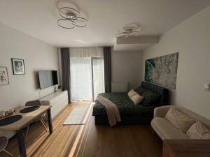 ein Wohnzimmer mit einem Bett und einem Sofa in der Unterkunft Apartament Nova Klonova in Kielce