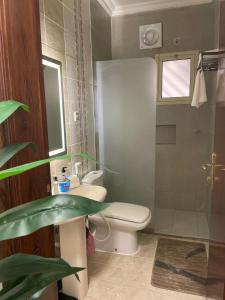 a bathroom with a toilet and a sink and a shower at Taibah Apartment in Medina