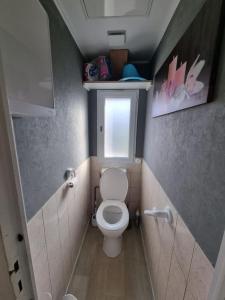 a small bathroom with a toilet and a window at Chalet 6 pers à 10km de Cabourg in Dozulé +21 photos