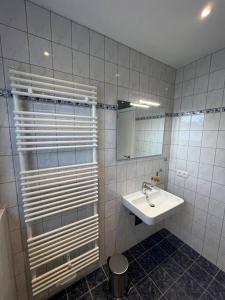 een badkamer met een wastafel en een spiegel bij Ferienwohnung am Glockensee in Bad Laer
