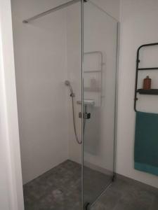 a bathroom with a shower with a glass door at Maison d'hôtes cosy & agréable à 5min du Futuroscope in Saint-Georges-lès-Baillargeaux