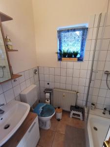 Ett badrum på Ferienwohnung Auf dem Georgenberg