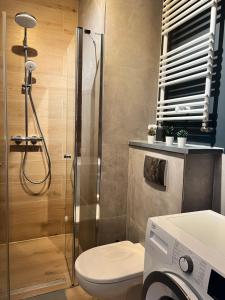 W łazience znajduje się prysznic, toaleta i przeszklony prysznic. w obiekcie Harmonia Apartments w Szczecinie +30 zdjęć
