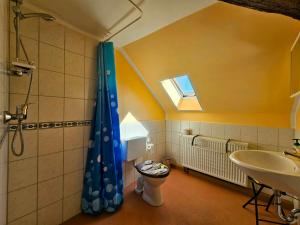 ein Badezimmer mit Toilette und Waschbecken in der Unterkunft Pension Zur Kutscherstube in Colditz + 31 Fotos