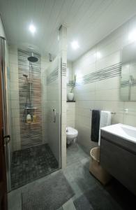 a bathroom with a shower and a toilet and a sink at Chez Arlette in Saint-Louis