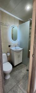 a bathroom with a toilet and a sink at Tatents Toon Guesthouse in Gyumri