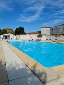 uma piscina com água azul e espreguiçadeiras em Villa "Les Flots en Ré" em La Flotte