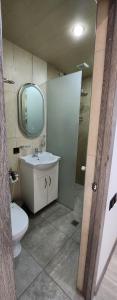 a bathroom with a toilet and a sink and a mirror at Tatents Toon Guesthouse in Gyumri