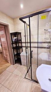 a bathroom with a shower and a white sink at Apartament Młynarska in Piła
