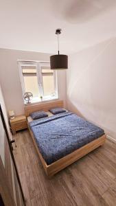 1 dormitorio con 2 camas y ventana en Apartament Młynarska en Piła