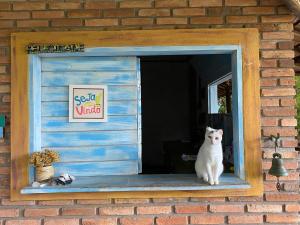 un gato blanco sentado en una ventana de una casa en Refúgio do Corsário-Imbassai-Ba en Imbassai